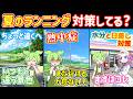 夏ラン初心者へ｜まず揃えたい暑さ対策グッズ
