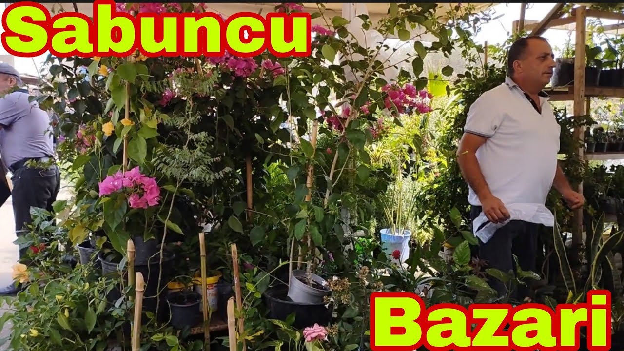 Sabunçu Bazarı Güllərin Satışı 6 avqust 2023