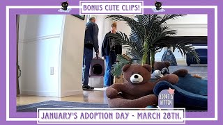 January's Adoption Day!  March 28th.