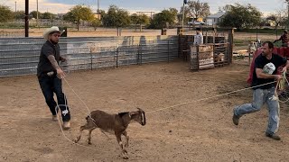 World Series of Goat Roping LoL