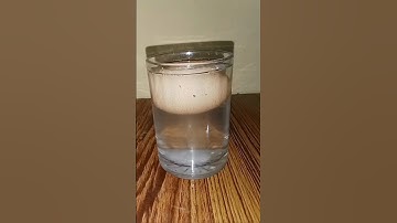 why does an egg float in salt water॥ Density experiment.#shot video#