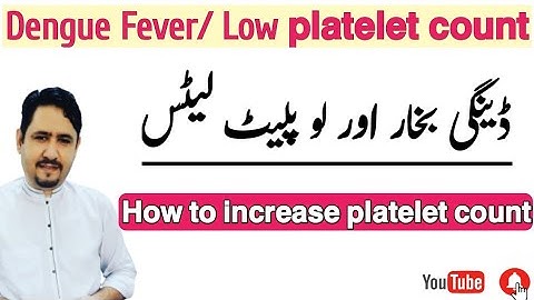 Dengue Fever Treatment Urdu Hindi | How To Increase Low Platelet Count | Irfan Azeem |