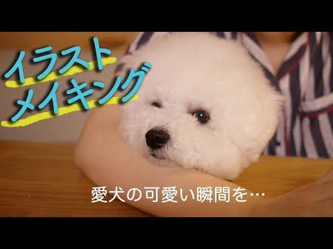 ビションフリーゼ犬の可愛い瞬間をイラストに メイキング動画 Making Dog Illustration Youtube