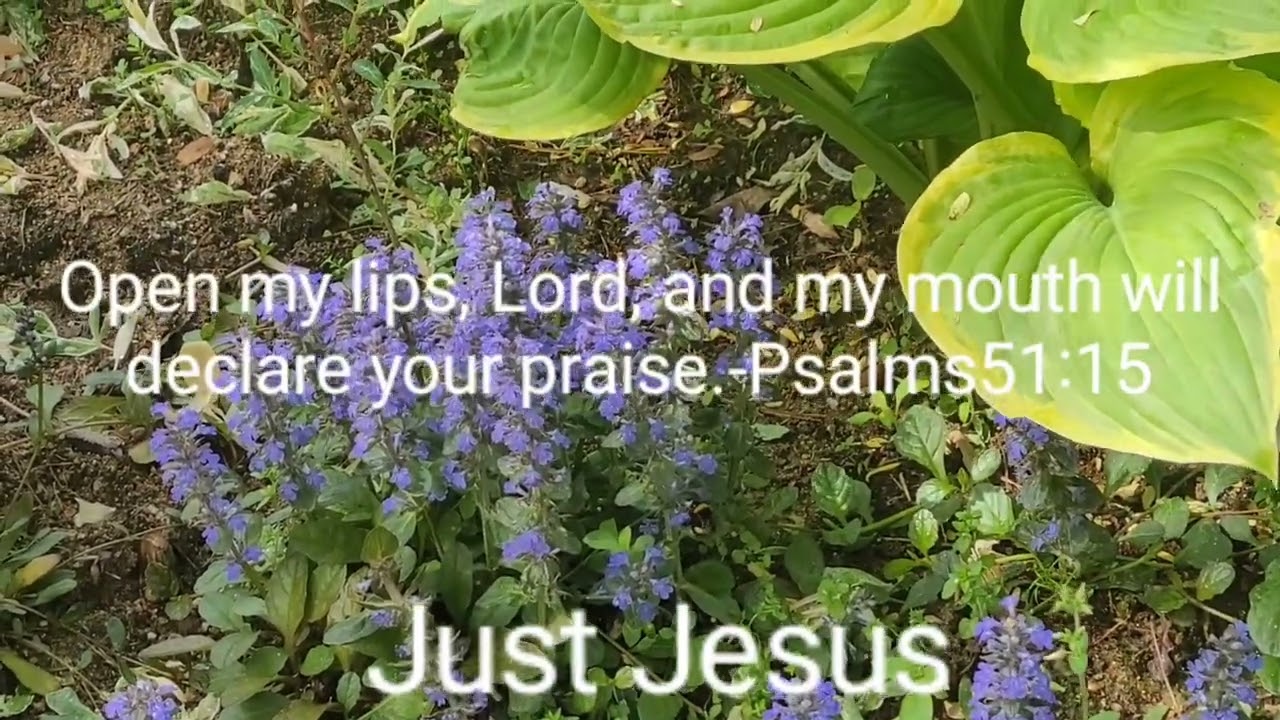 주여 내 입술을 열어 주소서 내 입이 주를 찬송하여 전파하리이다!