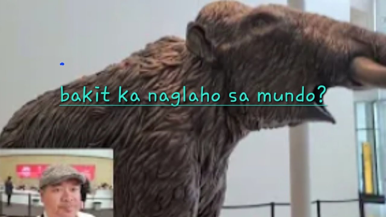 Royal Alberta Museum | Puro Kalansay ng mga Extinct Animals  | day4 