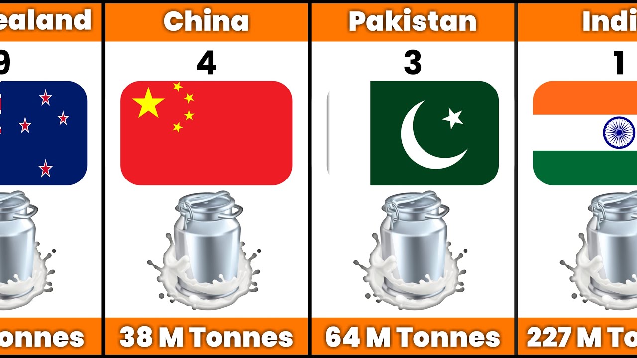 Top 10 Milk Producing Countries in the world 2024 🤗 