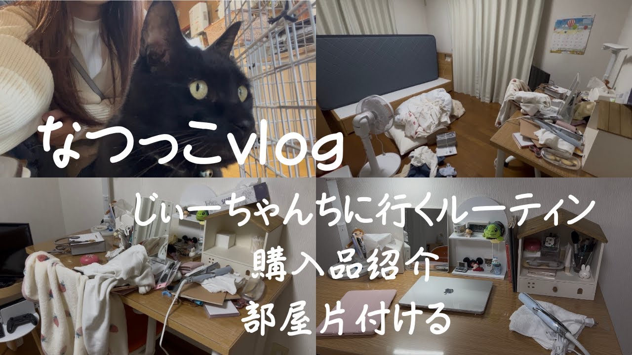 [vlog]じぃーちゃんちに行くルーティン👴/購入品紹介/散らかった部屋片付ける🧹