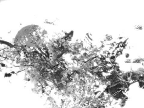 Anthony Godwin - Un long fleuve tranquille (Original mix) Techno mélodic / deep mélodic / neotrance