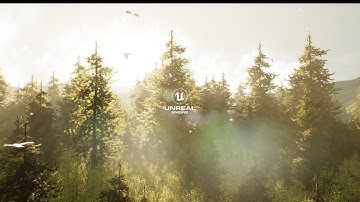 Pine Forest | Unreal Engine 5