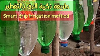 طريقة عبقرية الري بالتنقيط  من زجاجة ماء Plastic Bottle Drip Water Irrigation System