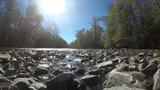 Pearl river wma, st. tammany parish ...