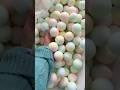 Bulk production of crispy stress balls 🏭#squishy #fidgettoys #satisfying #oddlysatisfying #asmr