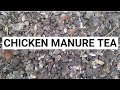 How To Make Chicken Manure Tea|| Tea fertilizer.