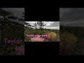 One of the best place to enjoy fall season ! Taylor State Park, Minnesota.