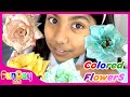 DIY Color Changing Roses | Science Experiment for Kids - @FunDayKid