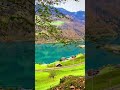 #trip #virals #shorts #traval #natural ##sleep lonely #swiserland