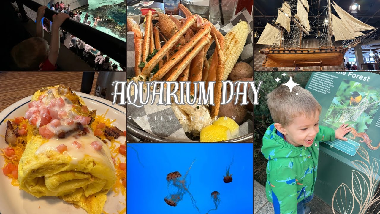 Baltimore Aquarium  Family Fun Day / Seafood For Supper , Yum!!😋