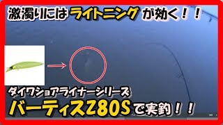 シーバス ルアー 名作ルアー ダイワ ショアラインシャイナー バーティスZ80Sを使ってシーバスフィッシング！！シーバス釣り 河川編 2018