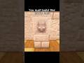 Turn Elytra Into Batman Mask in Minecraft