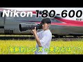 【待望の超望遠】ニコン180-600mm f/5.6-6.3がついに登場!その実力をZ8とともに測る!!後半画質チェックあり。