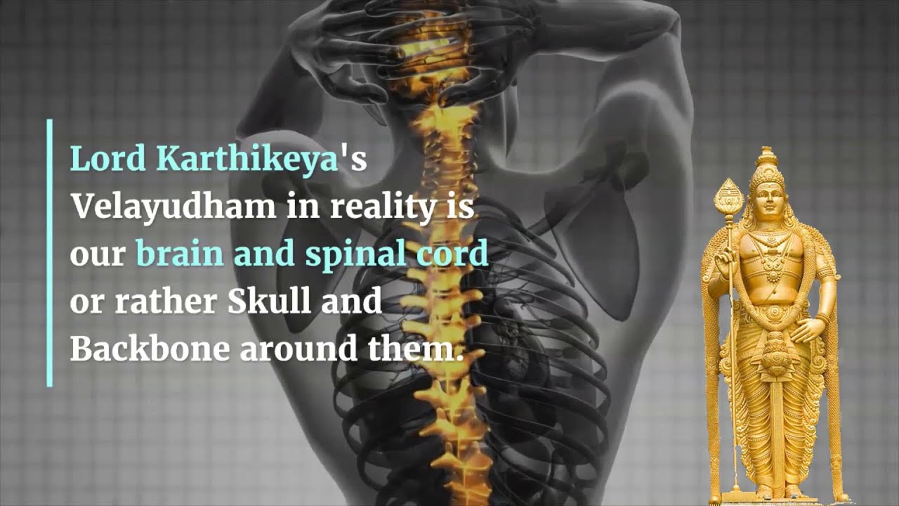 karthikeya-weapon-velayudham-spear-is-brain-and-spinal-cord