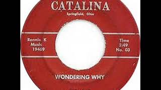 TREMORS - Wondering Why
TREMORS - Wondering Why
ALBUM Wondering Why / What Have I Done (7, 45 RPM, Single)(1967)
Urbana, Ohio 1965-7
The Tremors, five teens (four from Urbana, one from Springfield) thundered through the area from 65 until 67 in their Tremor Truck. In January 1967 they recorded Wondering Why and What Have I Done at OBrien studios in Springfield. Local musician Ronnie Knull released the record in June on his Catalina label. TREMORS - Wondering Why