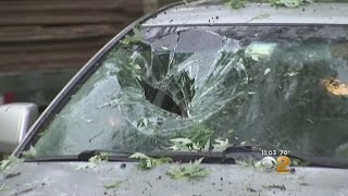 Tree Crashes Into Home In Ho-Ho-Kus