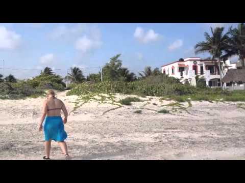 digital nomad careers House Sitting Mexico Day 3 - Our Beach... it's Pretty Close!