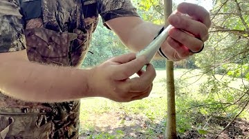 Scrape Rope & Branch Butter Combo by Black Widow Deer Lures - Setting Up Mock Scrapes!