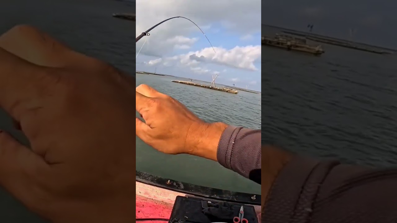 打螺釣魚 魚越來越大 #大魚 #黑格 縮圖