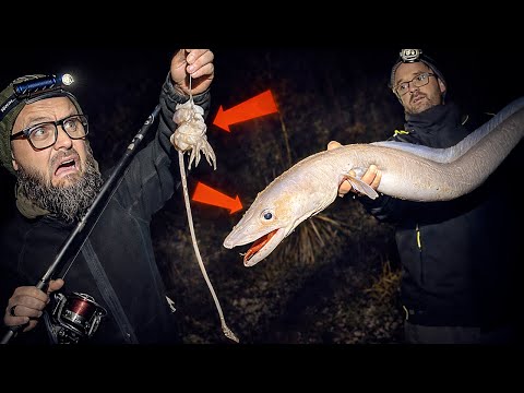 When night falls, the sea monsters come out and bite at this strange bait!
