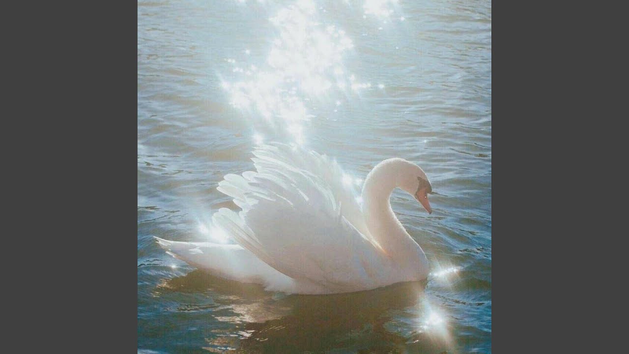 Chillin & Peace Vibe Type Beat "Heart to Be"