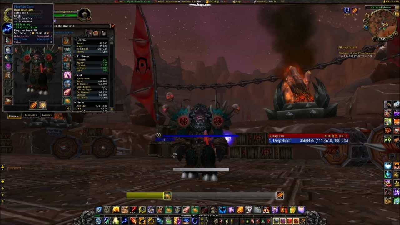 derpyhoof 81 shaman twink dps