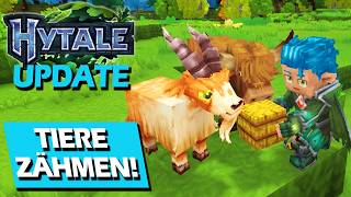 The Best Hytale Update Awaits Us