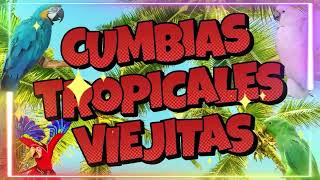 CUMBIAS TROPICALES MIX 🌻CUMBIAS VIEJITAS TROPICAL🎶CUMBIAS PARA BAILAR🍉MIX LOS KARKIKS,FITO OLIVARES by MIX DE CUMBIAS 202 views 2 weeks ago 1 hour, 37 minutes