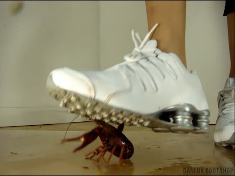 N31 Bug Crush Teaser - White Sneakers and Crawfish