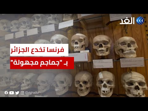 خدعة كبرى فرنسا سلمت الجزائر جماجم مجهولة بدلا من مجاهدين 