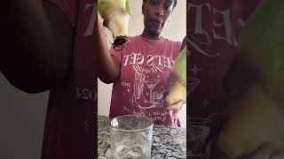 Ally update #aloevera #aloe #propagation #plants