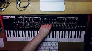 DSI REV2 Patch with Strymon