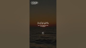 #سورة_يوسف ||حالات واتس قرآن || #تلاوة_هادئة #المصحف #قران_كريم_بصوت_جميل_جدا