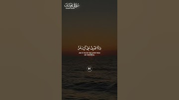 #سورة_يوسف ||حالات واتس قرآن || #تلاوة_هادئة #المصحف #قران_كريم_بصوت_جميل_جدا