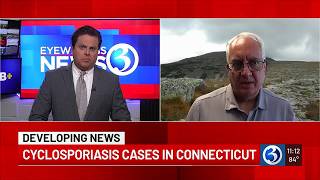 Doctor discuses cyclosporiasis cases in Connecticut