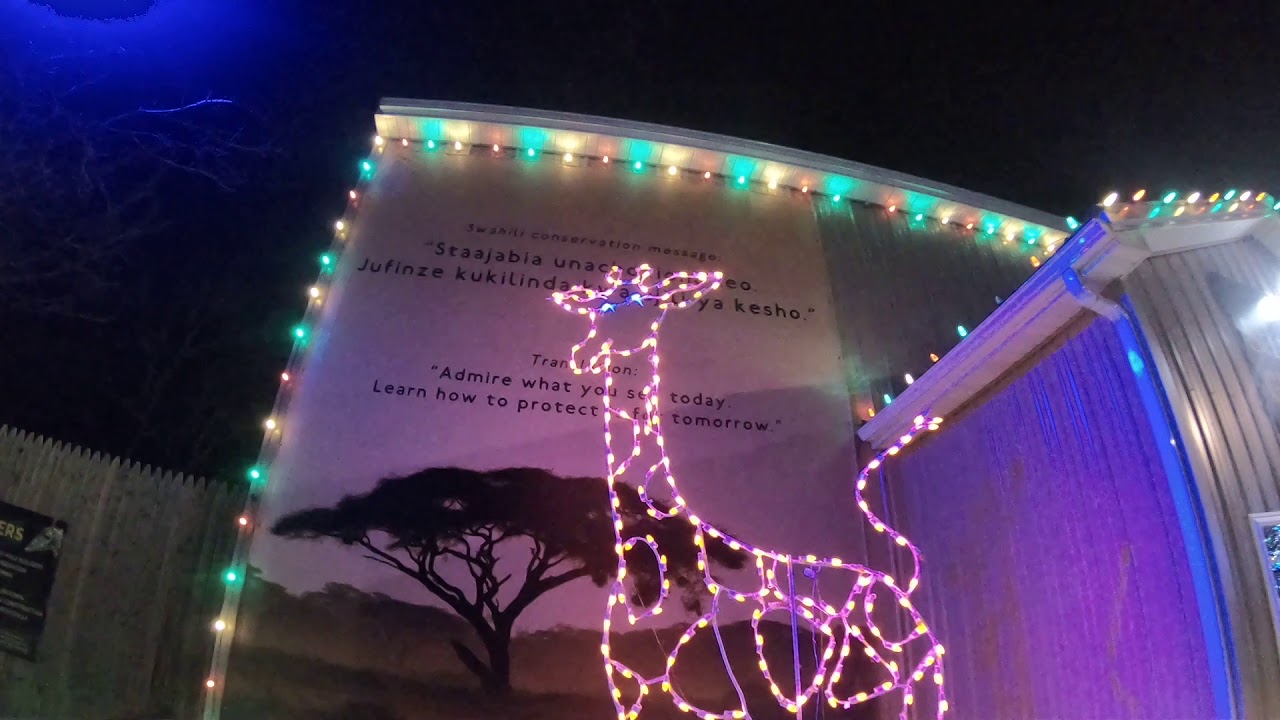 Lehigh Valley zoo Winter Light Spectacular 2 - YouTube