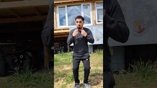 Altın Seven Kedinin Dansına Eşlik Etmek. Catlovers Cute