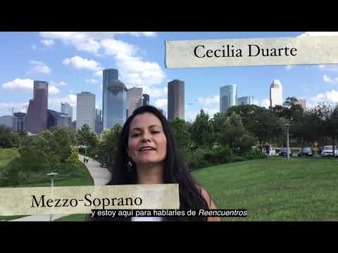 Reencuentros