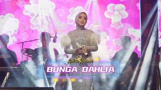 Bunga Dahlia  Anisa Rahma New Primaega  Jlwader No46  Tegal Saritegal Baratkota Tegal