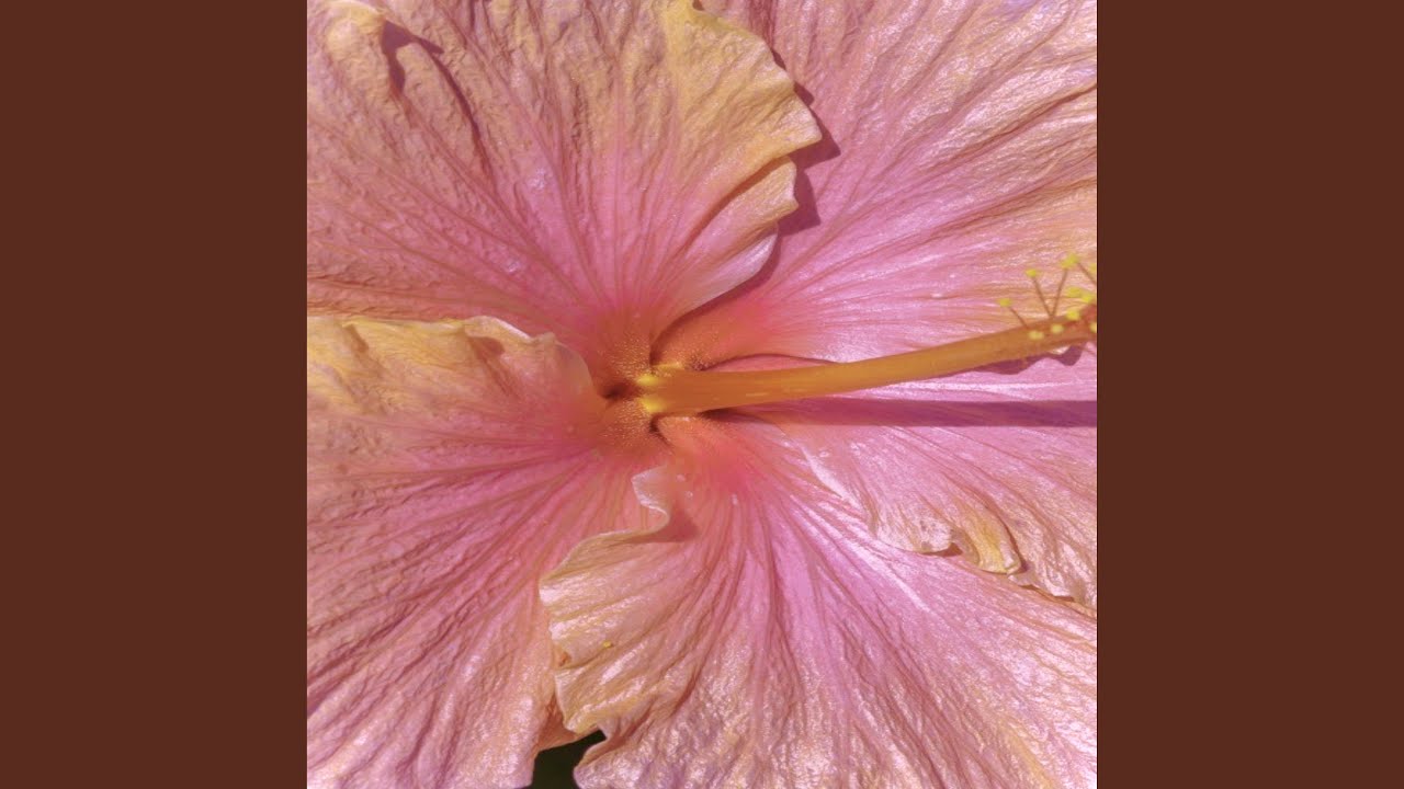 (feat. Garrett.) YouTube