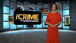 Tesla Camera Catches Crimes in Action | iCrime Clip