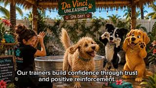 🐾 Welcome to Da Vinci Unleashed | Florida’s Tropical Dog Resort