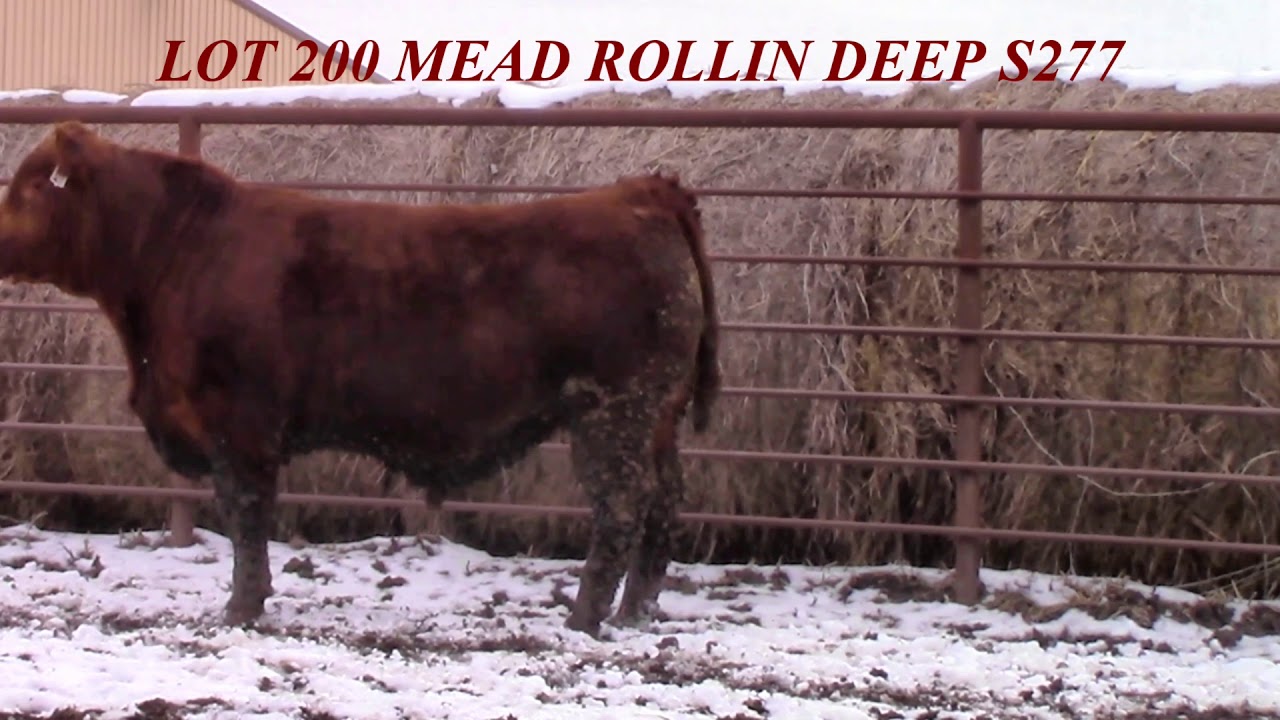 Mead Farms Lot 200 YouTube